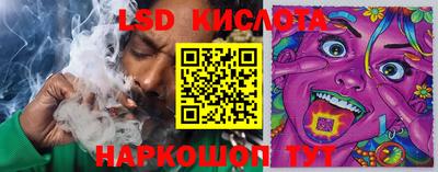 СК Туймазы