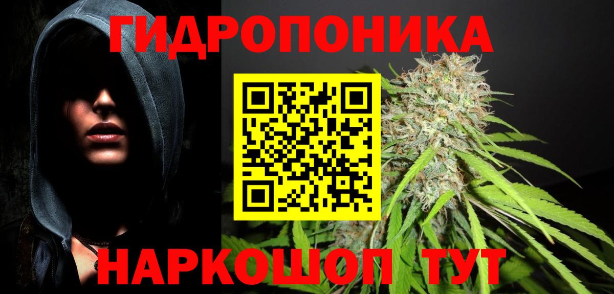 Канабис Bruce Banner Благодарный